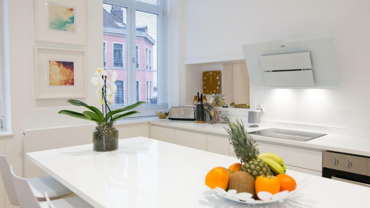 Luxueux Logement Bourgeois De 250 M2 Climatise リール エクステリア 写真